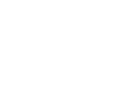 Airview Limo